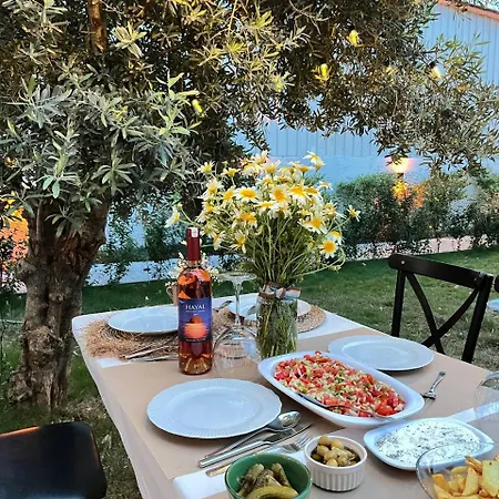 Aden Apart Appartement *